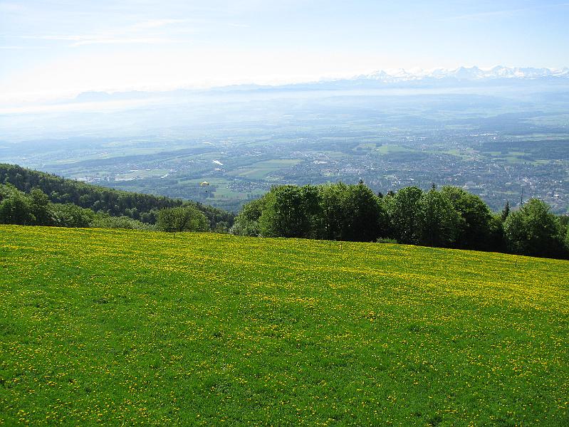 2009-05_Weissenstein 051.jpg